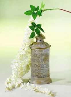 DecoWoerner Ramas Y Ramitas><noscript><img width=