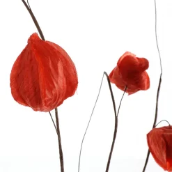 DecoWoerner Decoración De Otoño|Ramas Y Ramitas><noscript><img width=