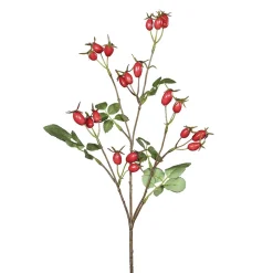 DecoWoerner Decoración De Otoño|Ramas Y Ramitas>Rama Artificial De Rosa Mosqueta Roja 66 Cm