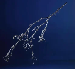 DecoWoerner Decoración De Invierno|Ramas Y Ramitas><noscript><img width=