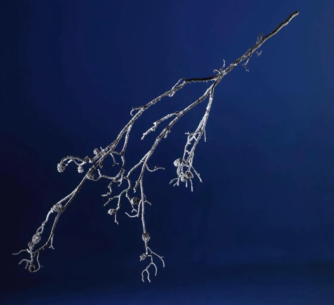 DecoWoerner Decoración De Invierno|Ramas Y Ramitas>Rama Cubierta De Nieve, Longitud 140 Cm