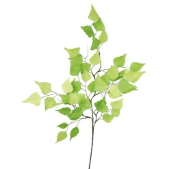 DecoWoerner Decoración Temática|Decoración De Primavera>Rama De Abedul Artificial, 60 Cm