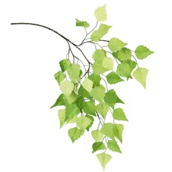 DecoWoerner Decoración Temática|Decoración De Primavera>Rama De Abedul Artificial, 60 Cm