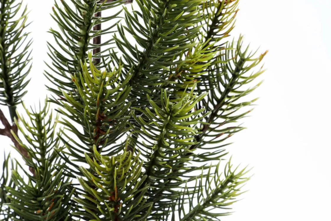 DecoWoerner Ramas Y Ramitas|Árboles De Mesa Y Ramas De Abeto>Rama De Abeto Artificial, 66 Cm De Largo