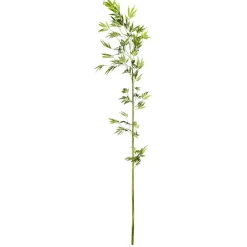 DecoWoerner Decoración Temática|Ramas Y Ramitas>Rama De Bambú, 190 Cm