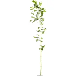 DecoWoerner Decoración Temática|Ramas Y Ramitas>Rama De Bambú, 190 Cm
