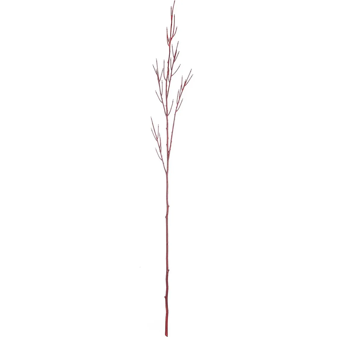 DecoWoerner Ramas Y Ramitas>Rama De Decoración Cornus 130 Cm