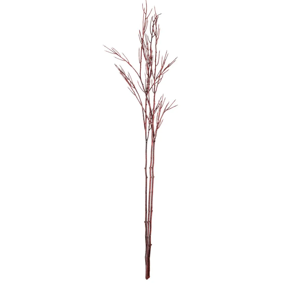 DecoWoerner Ramas Y Ramitas>Rama De Decoración Cornus 130 Cm