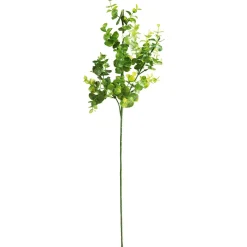 DecoWoerner Ramas Y Ramitas>Rama De Eucalipto Artificial, Longitud 60 Cm