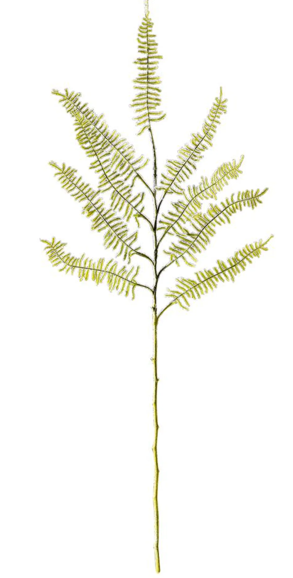 DecoWoerner Decoración De Invierno|Ramas Y Ramitas>Rama De Helecho Artificial Con Nieve, Longitud 80 Cm