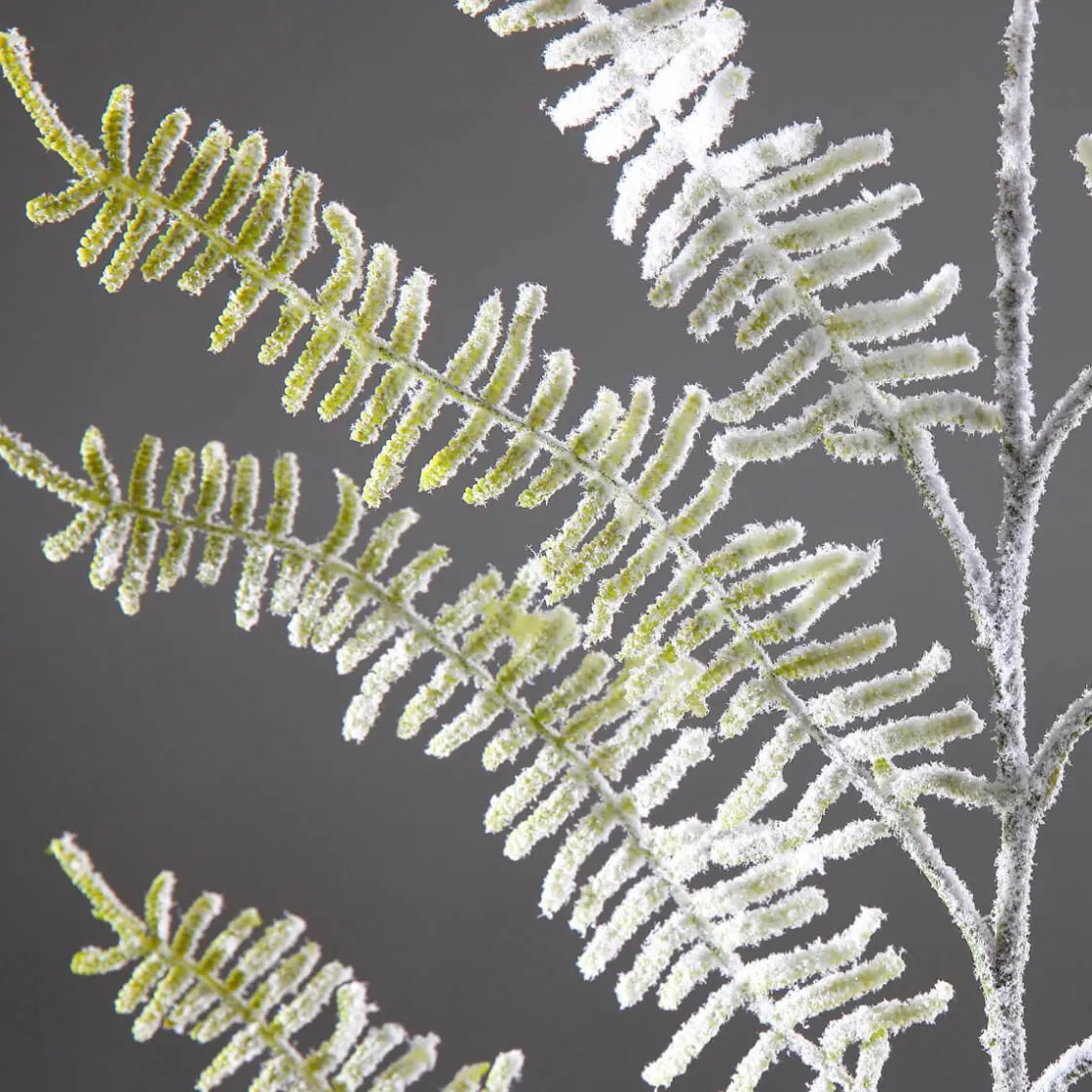 DecoWoerner Decoración De Invierno|Ramas Y Ramitas>Rama De Helecho Artificial Con Nieve, Longitud 80 Cm