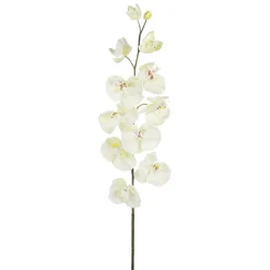 DecoWoerner Ramas Y Ramitas|Flores Artificiales>Rama De Orquídea Deco Blanca 110 Cm