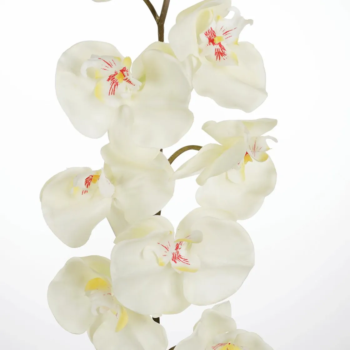 DecoWoerner Ramas Y Ramitas|Flores Artificiales>Rama De Orquídea Deco Blanca 110 Cm