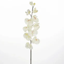 DecoWoerner Ramas Y Ramitas|Flores Artificiales><noscript><img width=