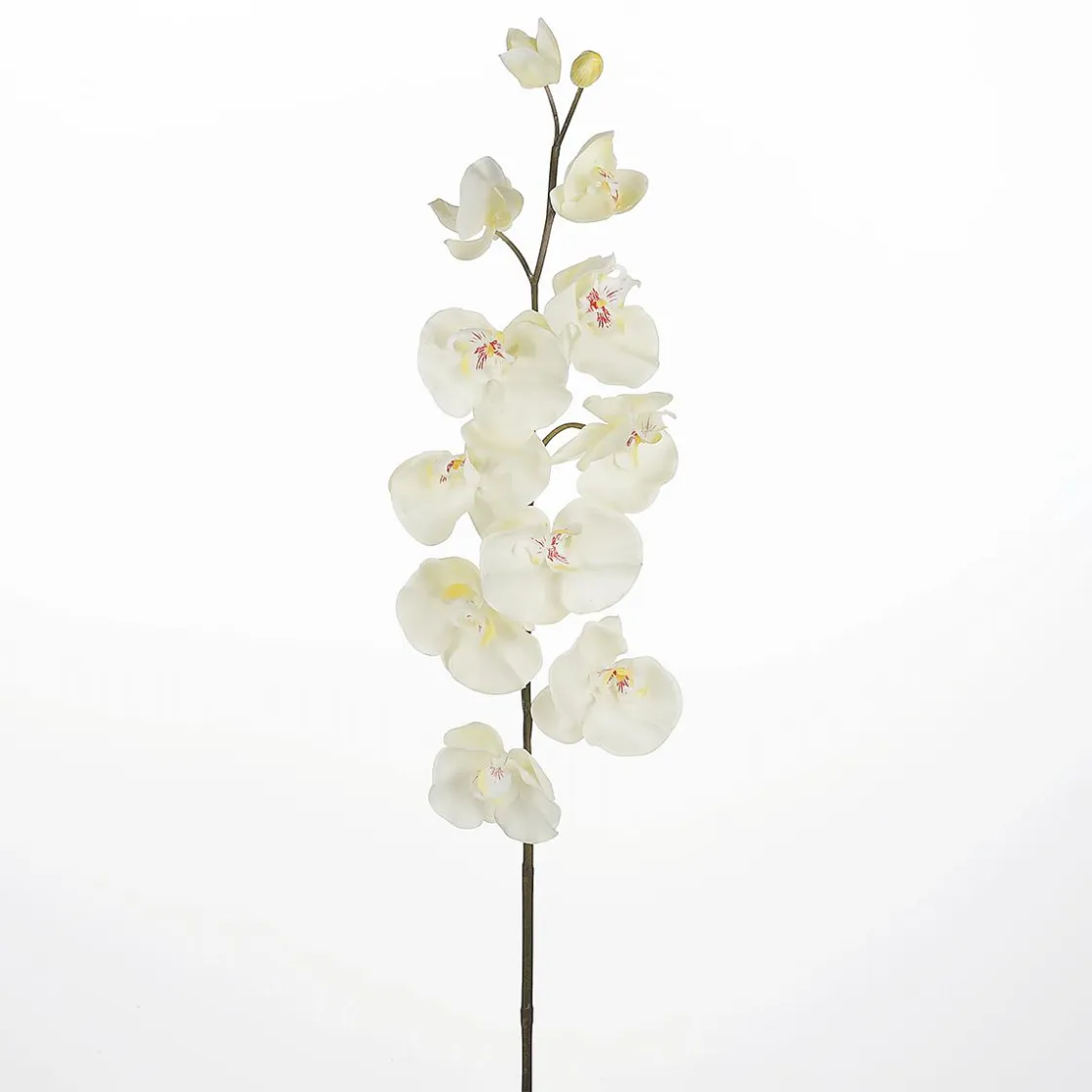 DecoWoerner Ramas Y Ramitas|Flores Artificiales>Rama De Orquídea Deco Blanca 110 Cm
