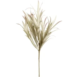 DecoWoerner Decoración De Otoño|Ramas Y Ramitas>Rama De Sauce Artificial Con Hojas Largas 2 Piezas, 62 Cm Claro