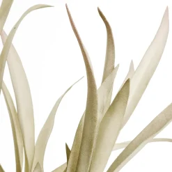 DecoWoerner Decoración De Otoño|Ramas Y Ramitas>Rama De Sauce Artificial Con Hojas Largas 2 Piezas, 62 Cm Claro