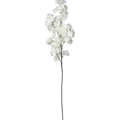 DecoWoerner Ramas Y Ramitas>Rama Decorativa Con Flores De Cerezo Blanca, 105 Cm