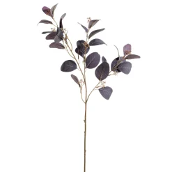 DecoWoerner Ramas Y Ramitas>Rama Decorativa De Eucalipto, 70 Cm De Largo
