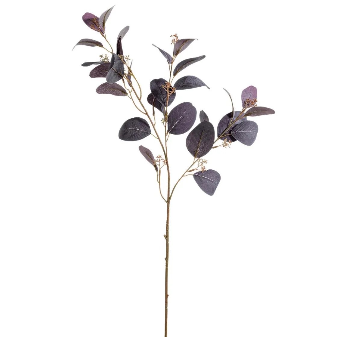 DecoWoerner Ramas Y Ramitas>Rama Decorativa De Eucalipto, 70 Cm De Largo