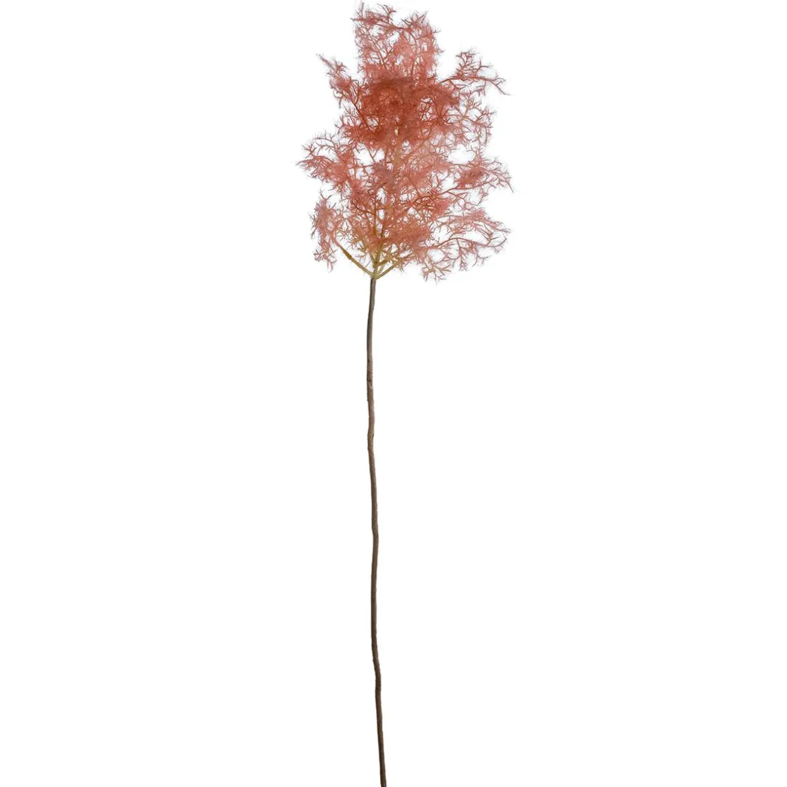 DecoWoerner Ramas Y Ramitas|Hierba Decorativa>Rama Decorativa Flor De Junco, 90 Cm