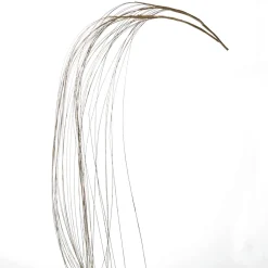 DecoWoerner Ramas Y Ramitas>Rama Decorativa Hierba Dorada 100 Cm De Largo, 2 Piezas