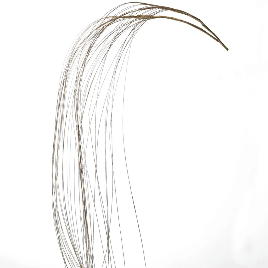 DecoWoerner Ramas Y Ramitas>Rama Decorativa Hierba Dorada 100 Cm De Largo, 2 Piezas