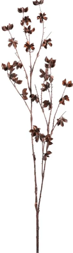 DecoWoerner Ramas Y Ramitas>Rama Decorativa Infrutescencia Del Algodón 110 Cm