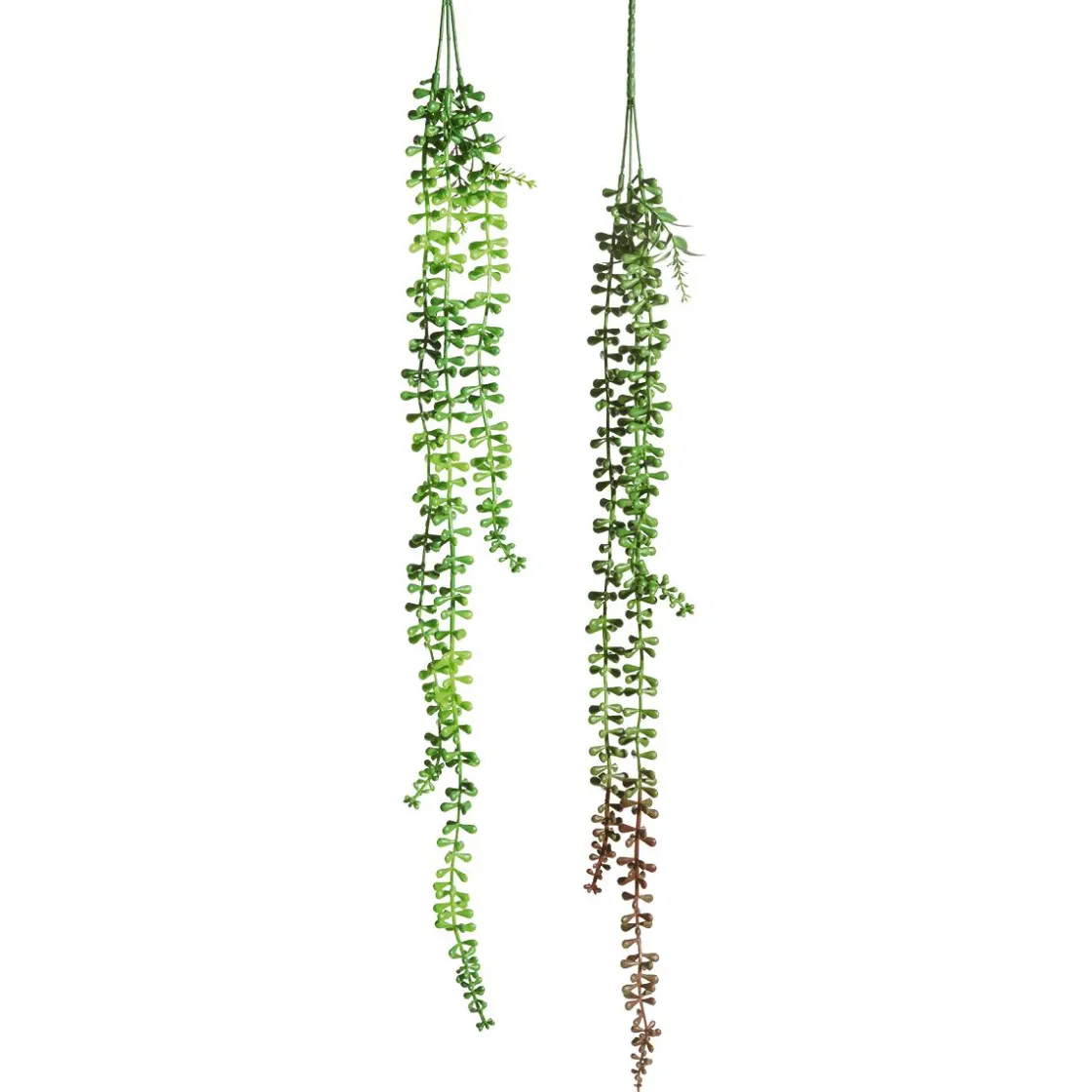 DecoWoerner Plantas Verdes|Plantas Colgantes>Ramas Artificiales Senecio Planta Guisante