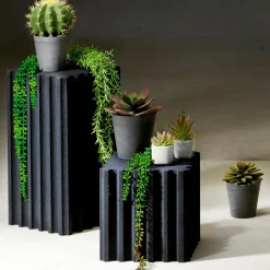 DecoWoerner Plantas Verdes|Plantas Colgantes><noscript><img width=