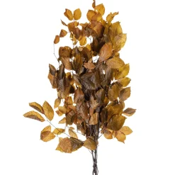 DecoWoerner Decoración De Otoño|Ramas Y Ramitas>Ramitas De Haya Auténticas, Amarillo - Naranja 80 Cm