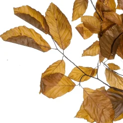 DecoWoerner Decoración De Otoño|Ramas Y Ramitas>Ramitas De Haya Auténticas, Amarillo - Naranja 80 Cm