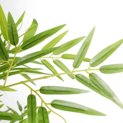 DecoWoerner Plantas Verdes|Plantas De Interior><noscript><img width=