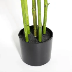 DecoWoerner Plantas Verdes|Plantas De Interior><noscript><img width=