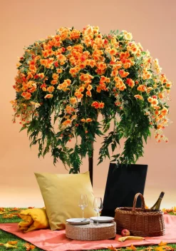 DecoWoerner Decoración De Otoño|Decoración De Verano><noscript><img width=