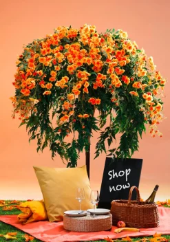 DecoWoerner Decoración De Otoño|Decoración De Verano><noscript><img width=
