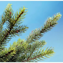 DecoWoerner Árboles De Navidad Artificiales><noscript><img width=