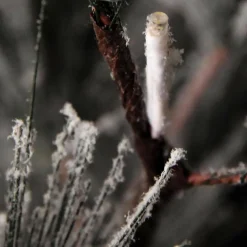 DecoWoerner Decoración De Invierno|Árboles Artificiales><noscript><img width=