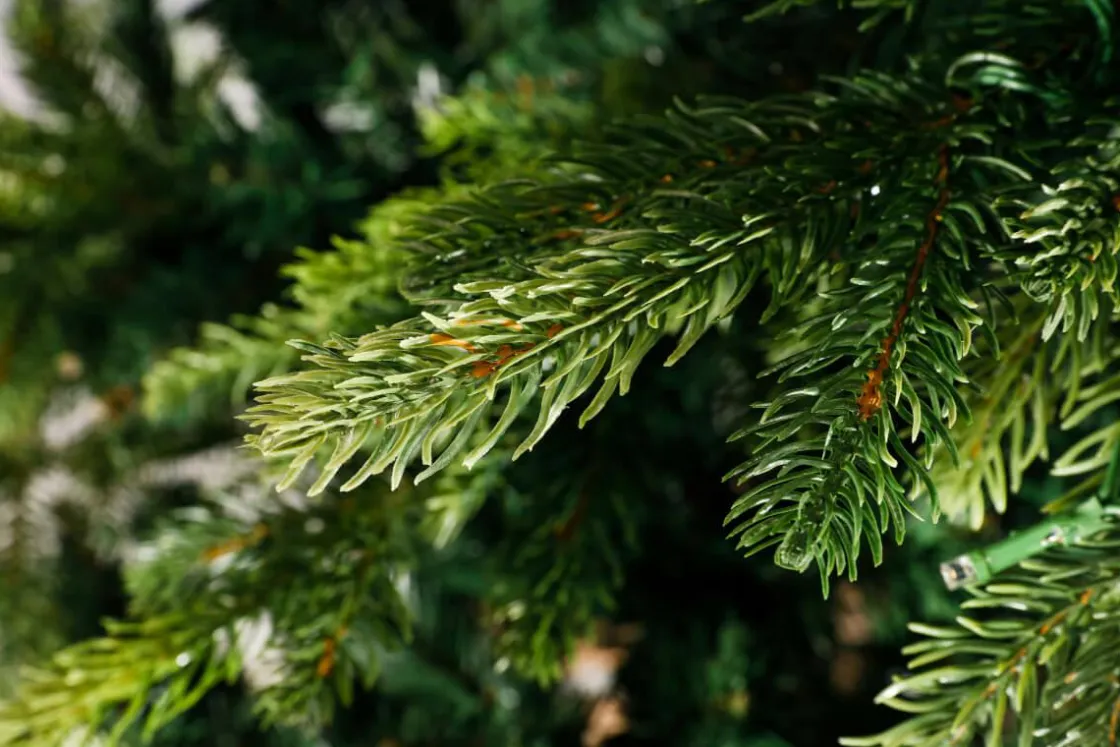 DecoWoerner Árboles De Navidad Artificiales>Árbol De Navidad Artificial Moldeado Por Inyección Pícea De Noruega 180 Cm