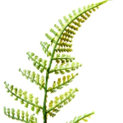 DecoWoerner Decoración De Primavera|Plantas Verdes><noscript><img width=