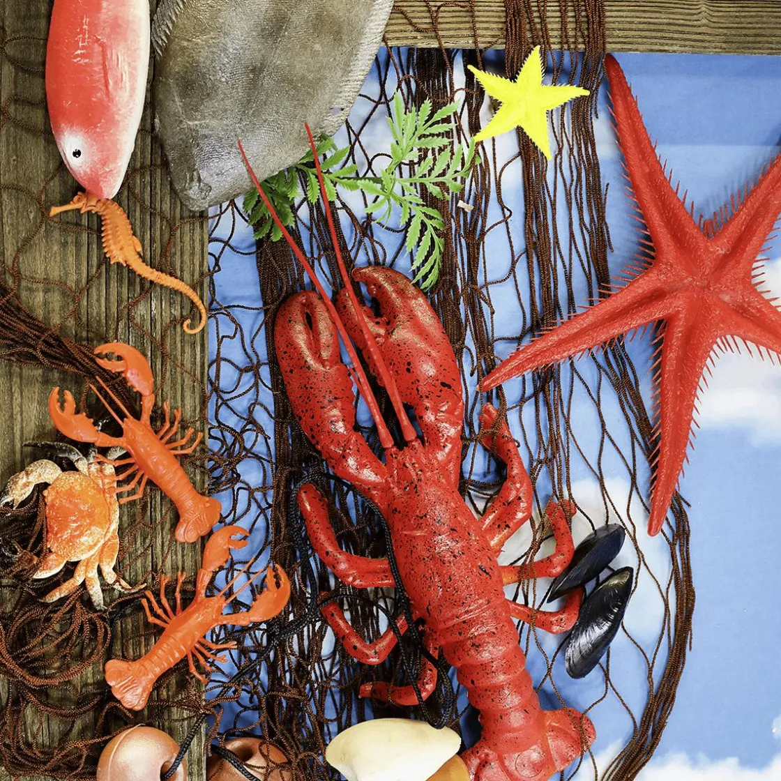DecoWoerner Decoración De Verano|Pescados Y Mariscos>Red De Pesca Marítima Con Animales Marinos