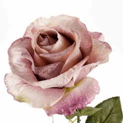 DecoWoerner Decoración Temática|Flores Artificiales>Artificial, 68 Cm, Color Malva
