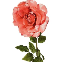DecoWoerner Decoración Temática|Flores Artificiales>Rosa Artificial, Albaricoque 116 Cm