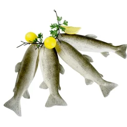 DecoWoerner Pescados Y Mariscos>Sarta De Truchas Alimento De Imitación 35 Cm