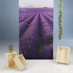 DecoWoerner Decoración De Verano>Set De Decoración Lavanda Provenza