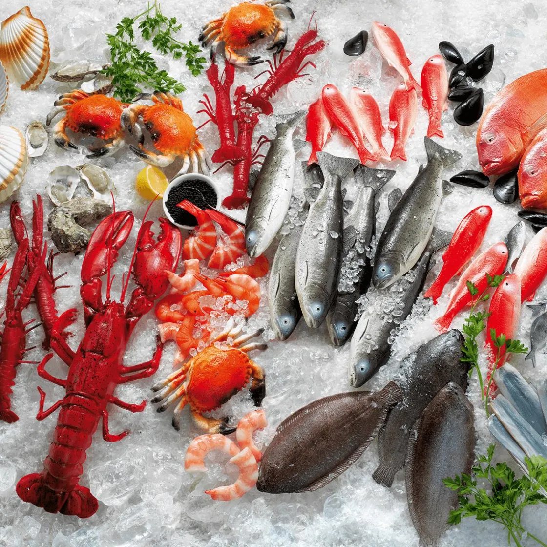 DecoWoerner Pescados Y Mariscos>Set De Ostras á 3 Piezas Maniquí Comida