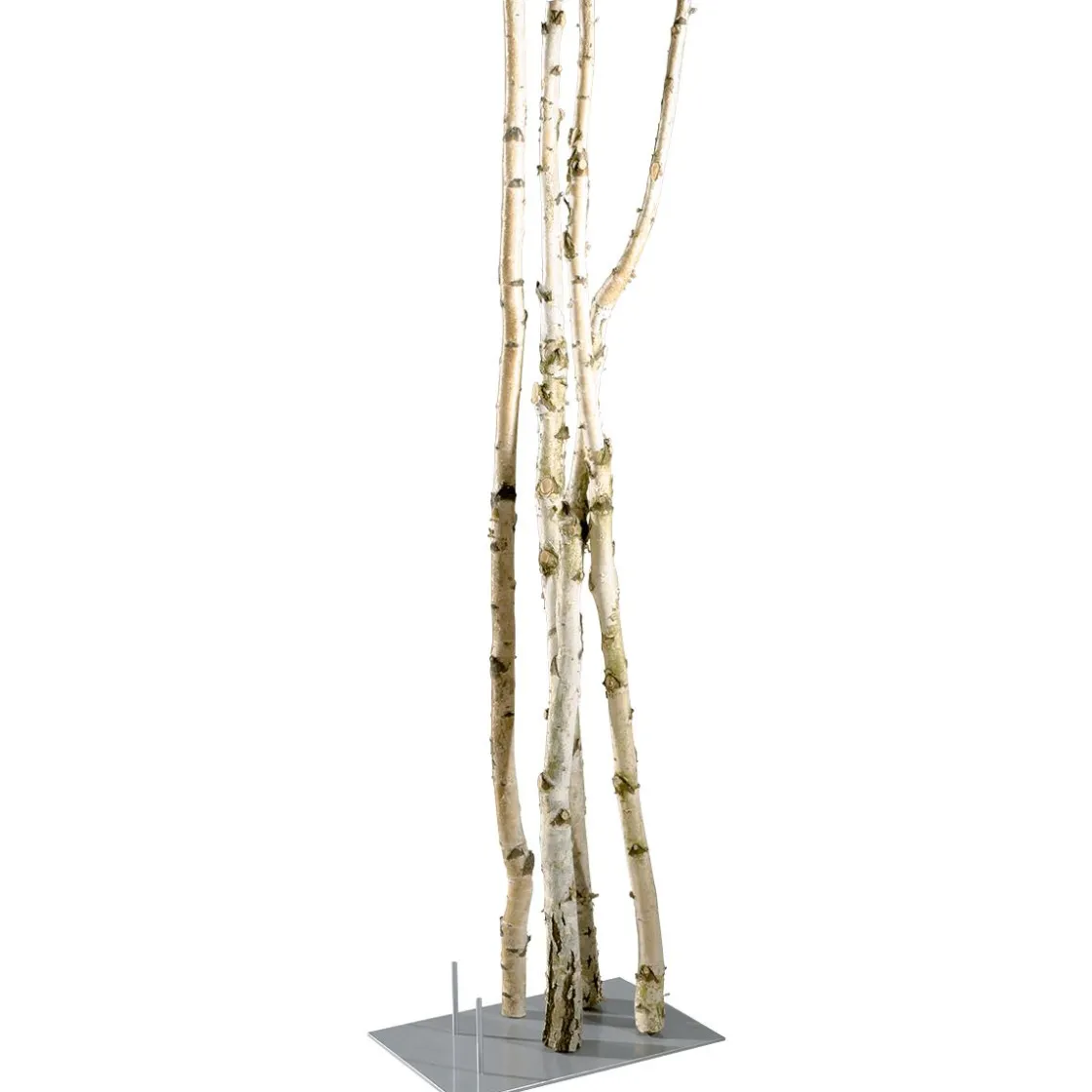DecoWoerner Decoración Natural|Macetas Y Artículos De Decoración>Soporte Metálico, Altura: 14,5 Cm