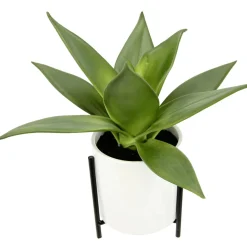 DecoWoerner Plantas De Interior>Suculenta Artificial En Maceta Blanca 27 Cm