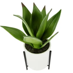 DecoWoerner Plantas De Interior>Suculenta Artificial En Maceta Blanca 27 Cm
