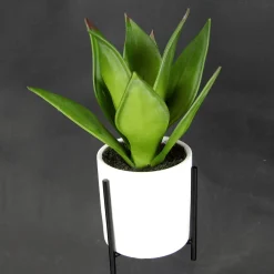 DecoWoerner Plantas De Interior><noscript><img width=